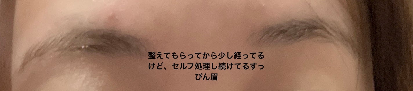 アイブロウ スリム/Elégance/アイブロウペンシルを使ったクチコミ(1枚目)