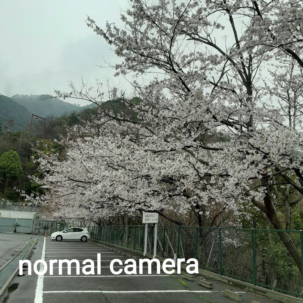 カラーチェンジアイブロウ/キャンメイク/眉マスカラを使ったクチコミ(6枚目)