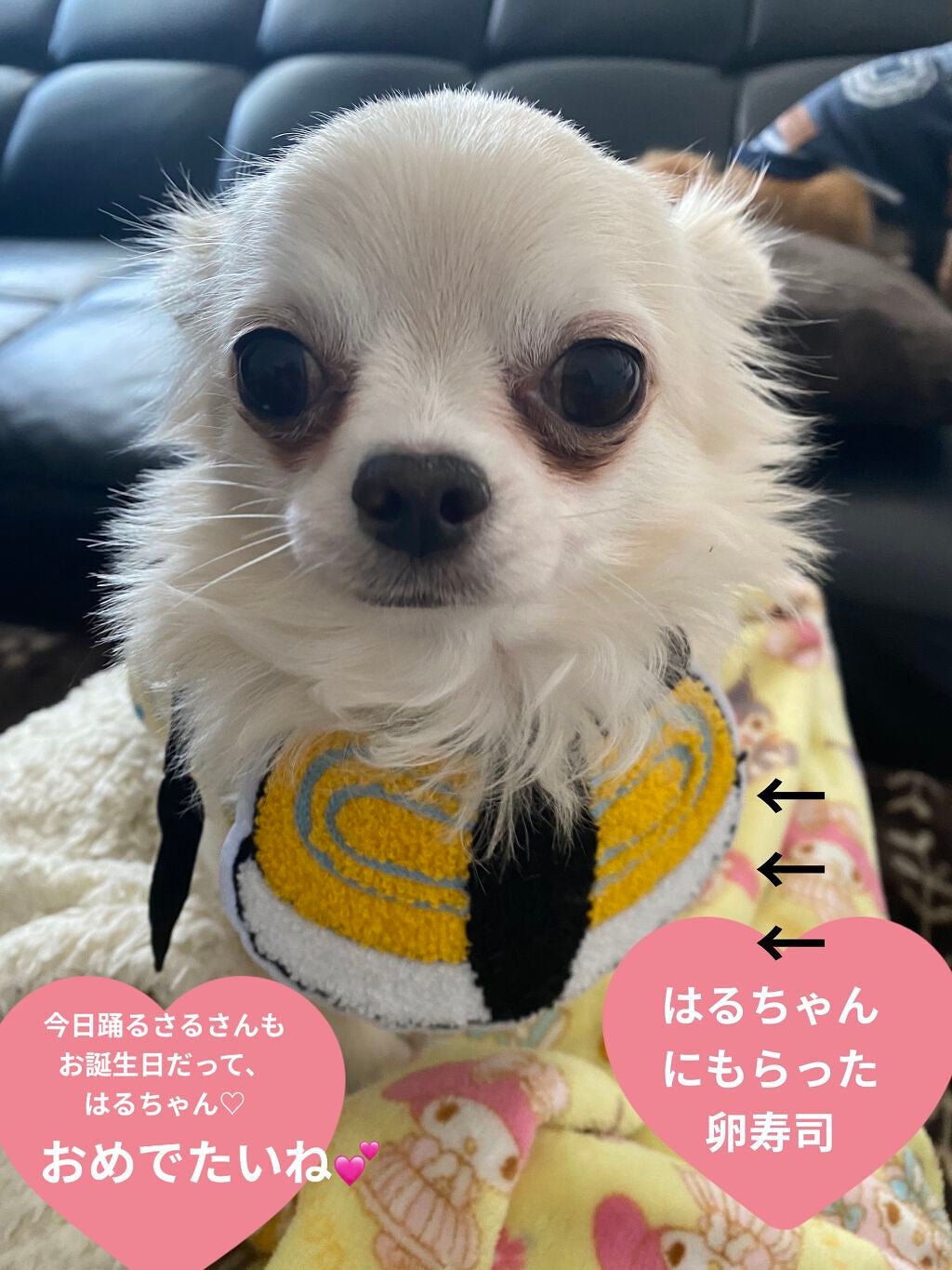 ミニネイル/パラドゥ/マニキュアを使ったクチコミ(8枚目)