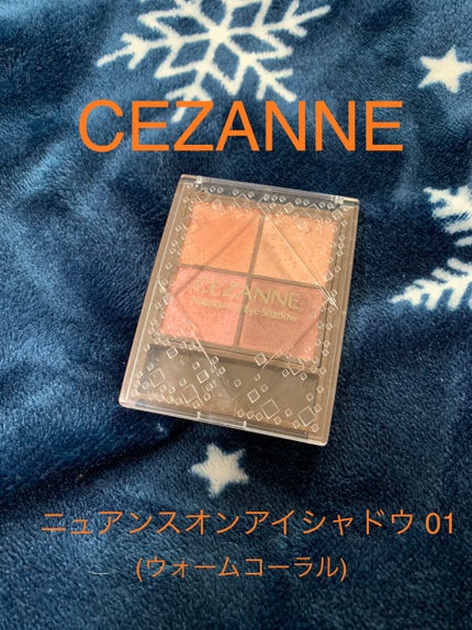 ニュアンスオンアイシャドウ/CEZANNE/アイシャドウパレットを使ったクチコミ(1枚目)