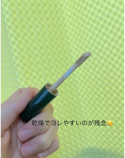 カバーパーフェクション チップコンシーラー/the SAEM/リキッドコンシーラーを使ったクチコミ(2枚目)