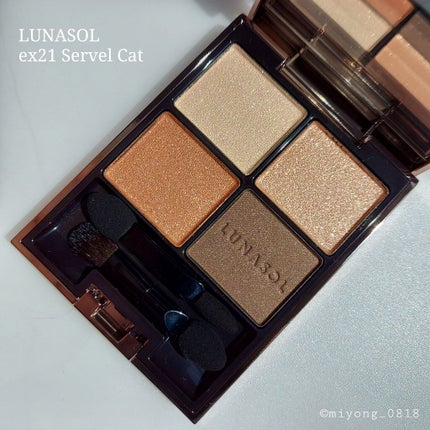 アイカラーレーション/LUNASOL/アイシャドウパレットを使ったクチコミ(9枚目)