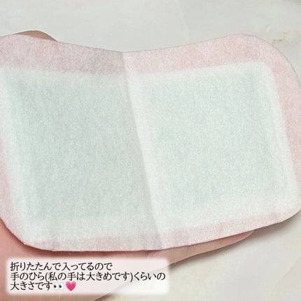 蒸気の温熱シート 下着の内側面に貼るタイプ/めぐりズム/その他を使ったクチコミ(3枚目)