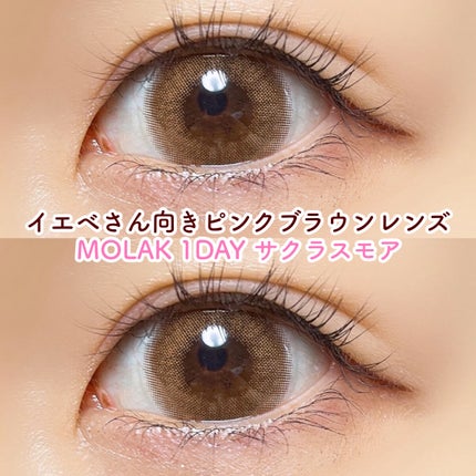 MOLAK 1day/MOLAK/ワンデー(1DAY)カラコンを使ったクチコミ(1枚目)