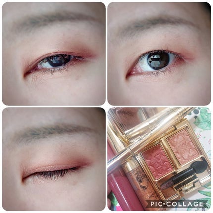 アクアレル アイズ/Elégance/リキッドアイシャドウを使ったクチコミ(2枚目)