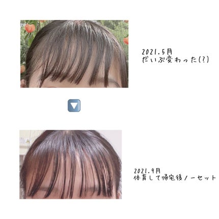 柳屋 あんず油/柳屋あんず油/ヘアオイルを使ったクチコミ(3枚目)