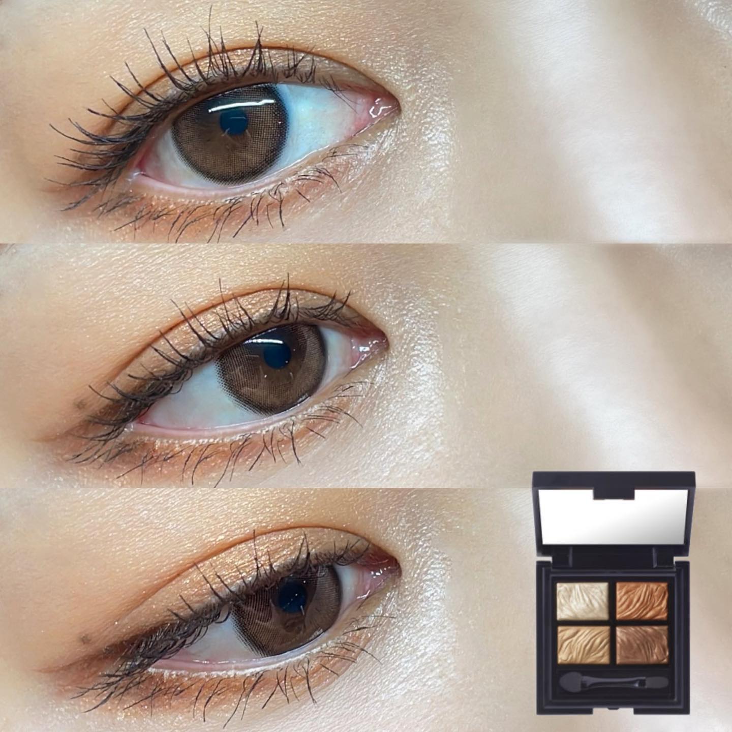 フラロッソ インテンソ アイシャドウ/アスタリフト/アイシャドウパレットを使ったクチコミ（1枚目）