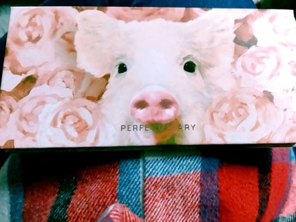 エクスプローラ12色 動物アイシャドウパレット/PERFECT DIARY/アイシャドウパレットを使ったクチコミ(4枚目)