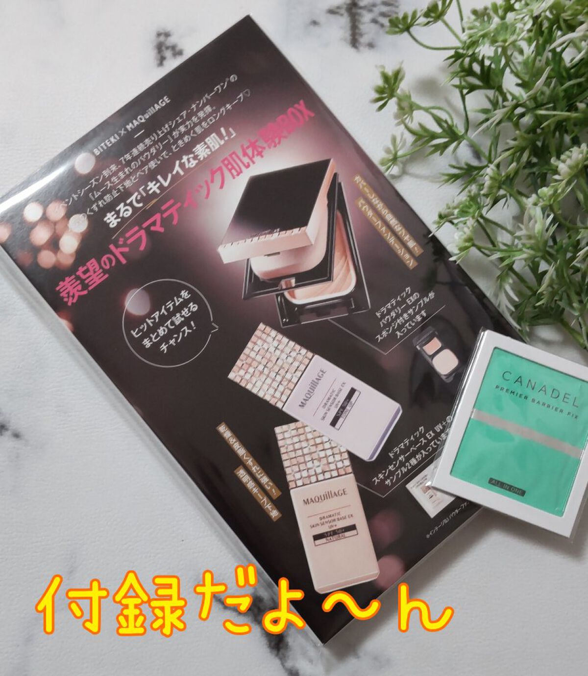 美的 2022年11月号/美的/雑誌を使ったクチコミ（2枚目）