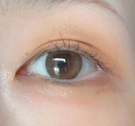 ビタートーンアイシャドウ/CEZANNE/パウダーアイシャドウを使ったクチコミ(4枚目)