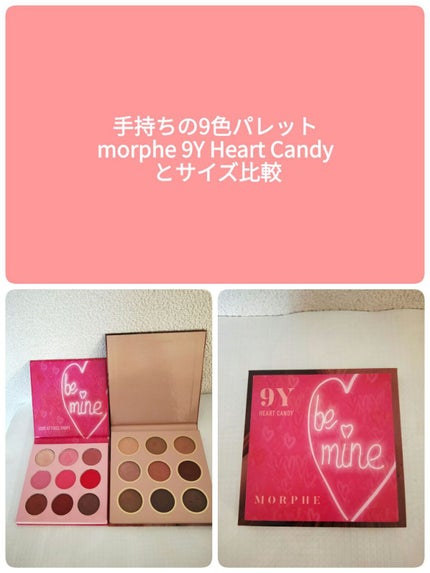 Nude Beginnings アイパレット/SHEGLAM/アイシャドウパレットを使ったクチコミ(9枚目)