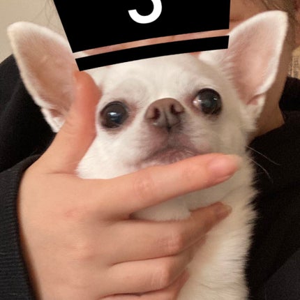 しに子ちゃん on LIPS 「爪が割れに割れた……自爪なのに……素爪なのに…………、さような..」(2枚目)