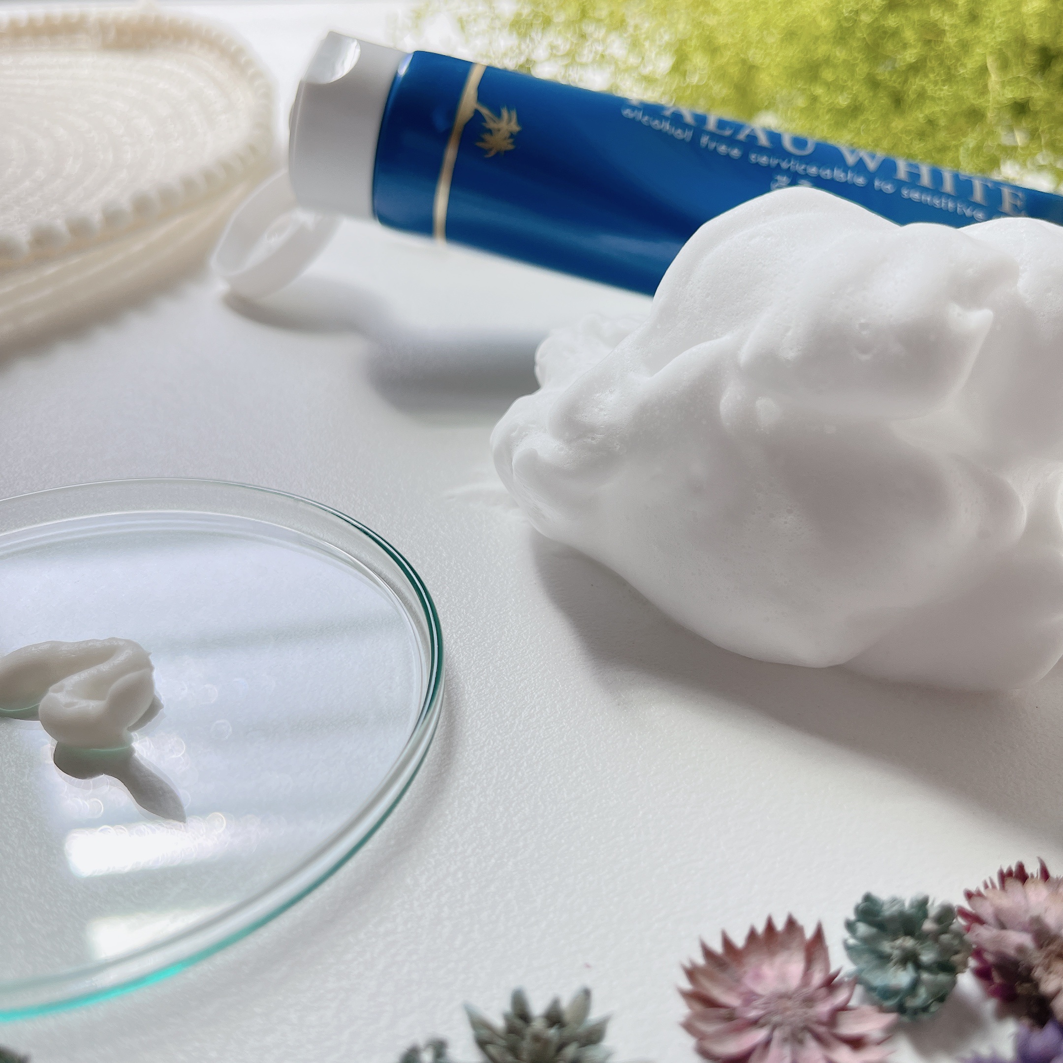 PALAU WHITE MOIST PURE SOAP/PALAU WHITE/洗顔フォームを使ったクチコミ（1枚目）