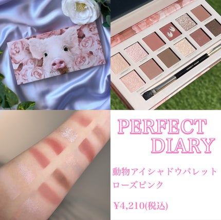 エクスプローラ12色 動物アイシャドウパレット/PERFECT DIARY/アイシャドウパレットを使ったクチコミ(1枚目)