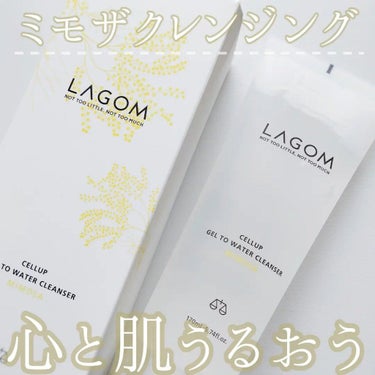 ジェルトゥウォーター クレンザー (MI)/LAGOM /クレンジングジェルを使ったクチコミ（1枚目）