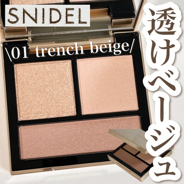 テイラード カラー アイズ/SNIDEL BEAUTY/アイシャドウパレットを使ったクチコミ（1枚目）