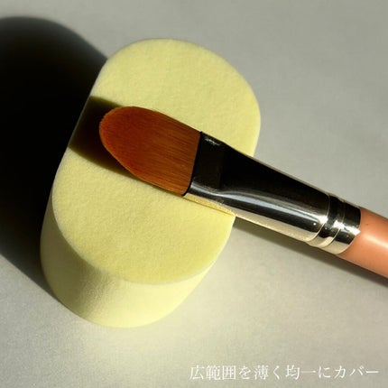 231L フル カバレッジ コンシーラー ブラシ/THE TOOL LAB/メイクブラシを使ったクチコミ(5枚目)