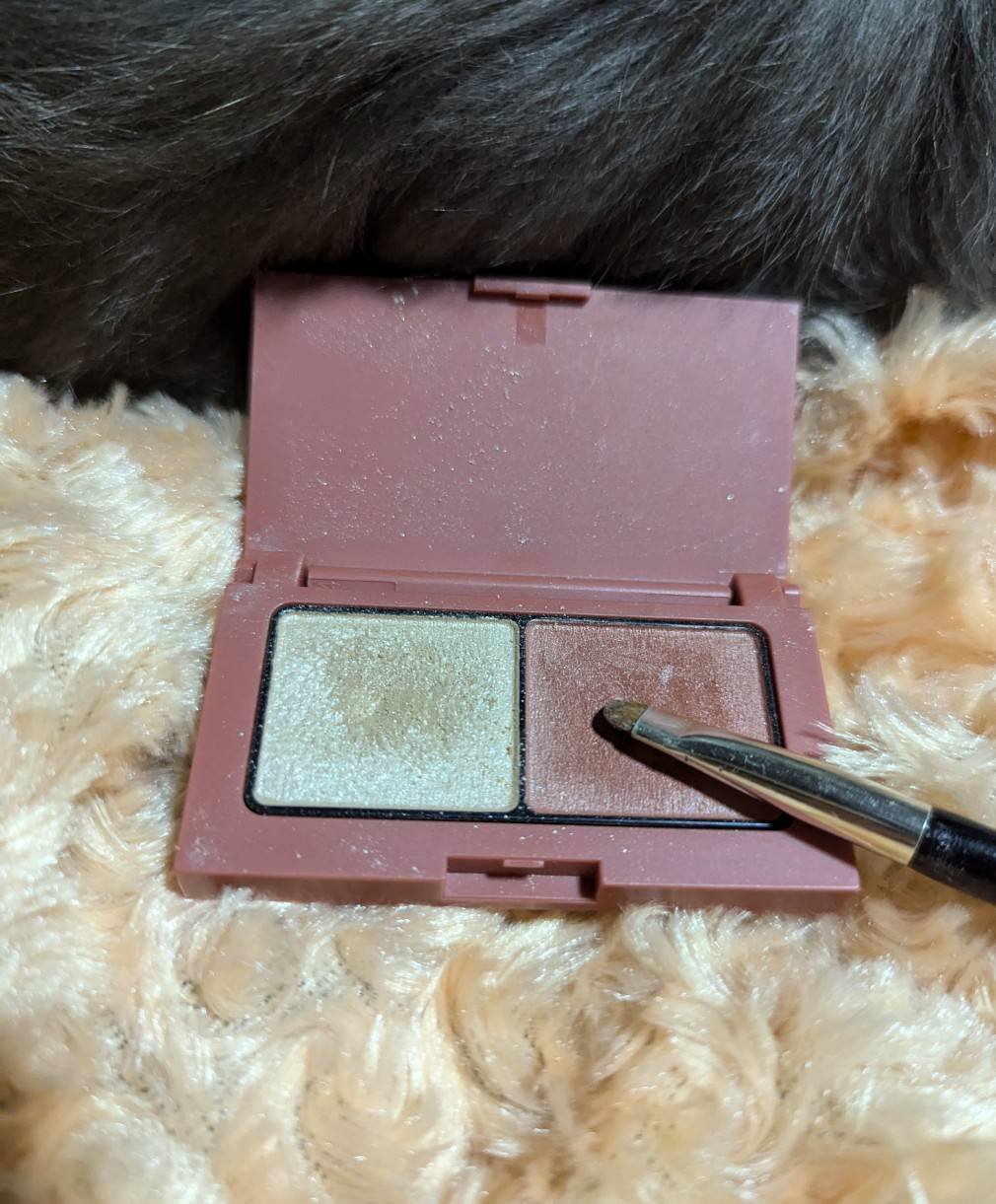 ペールトーンアイシャドウ/CEZANNE/アイシャドウを使ったクチコミ（3枚目）