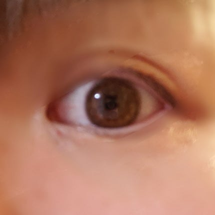 エバーカラーワンデー ナチュラル/エバーカラー/ワンデー(1DAY)カラコンを使ったクチコミ(2枚目)