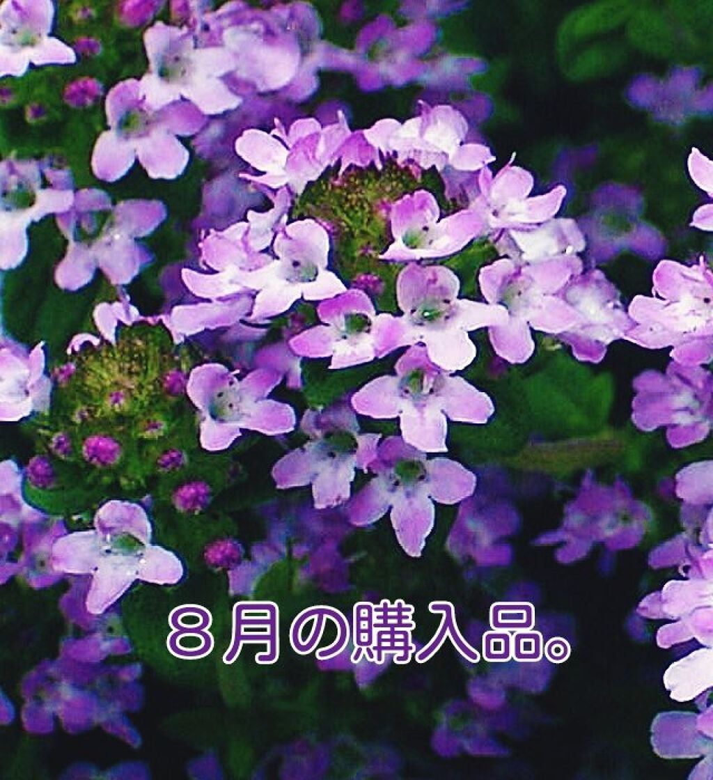 UR GLAM EYESHADOW BRUSH C(アイシャドウブラシC)/U R GLAM/メイクブラシを使ったクチコミ(1枚目)