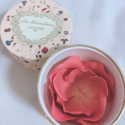 Ladurée パウダーチークセット チークブラシ ポット ローズ 02 Ladurée パウダーチークセット チークブラシ ポット ローズ 02