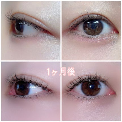 ラッシュアディクト アイラッシュコンディショニングセラム/soaddicted/まつげ美容液を使ったクチコミ(2枚目)