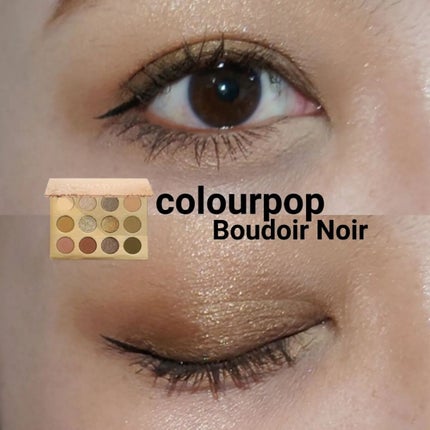 BOUDOIR NOIR/ColourPop/アイシャドウパレットを使ったクチコミ(1枚目)