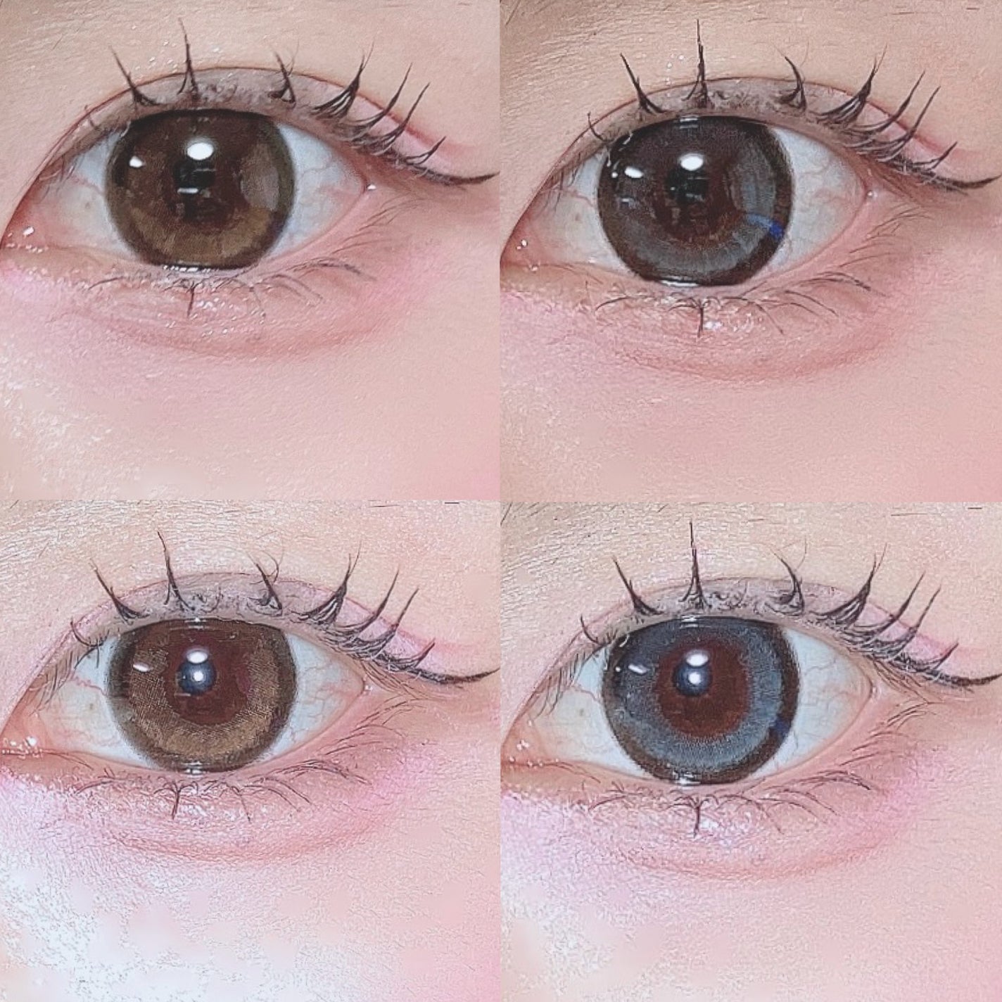 secretcandymagic 1day(シークレットキャンディーマジック)/secret candymagic/ワンデー(1DAY)カラコンを使ったクチコミ(4枚目)