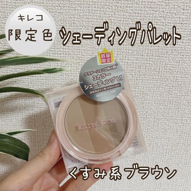 Kirei&co. 3カラーシェーディングパレットのクチコミ「ALL ¥500 coin（税込¥550）のキレコ(Kirei&co. )から、3カラーシェー.....」（1枚目）