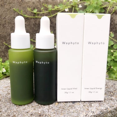 Waphyto インナーリキッド バイタル のクチコミ「バイタルとエナジーの2本を飲用しています。

植物には愛知県の東三河で無農薬栽培されたもの.....」（1枚目）