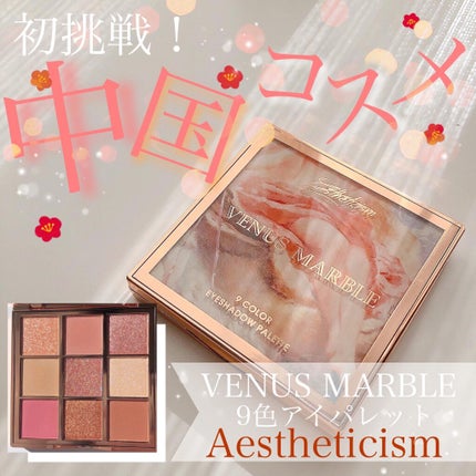 VenusMarble 9色アイシャドウパレット/Venus Marble/アイシャドウパレットを使ったクチコミ(1枚目)