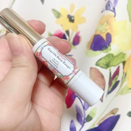 ステイオンバームルージュ(ティントタイプ)/キャンメイク/リップティントを使ったクチコミ(1枚目)