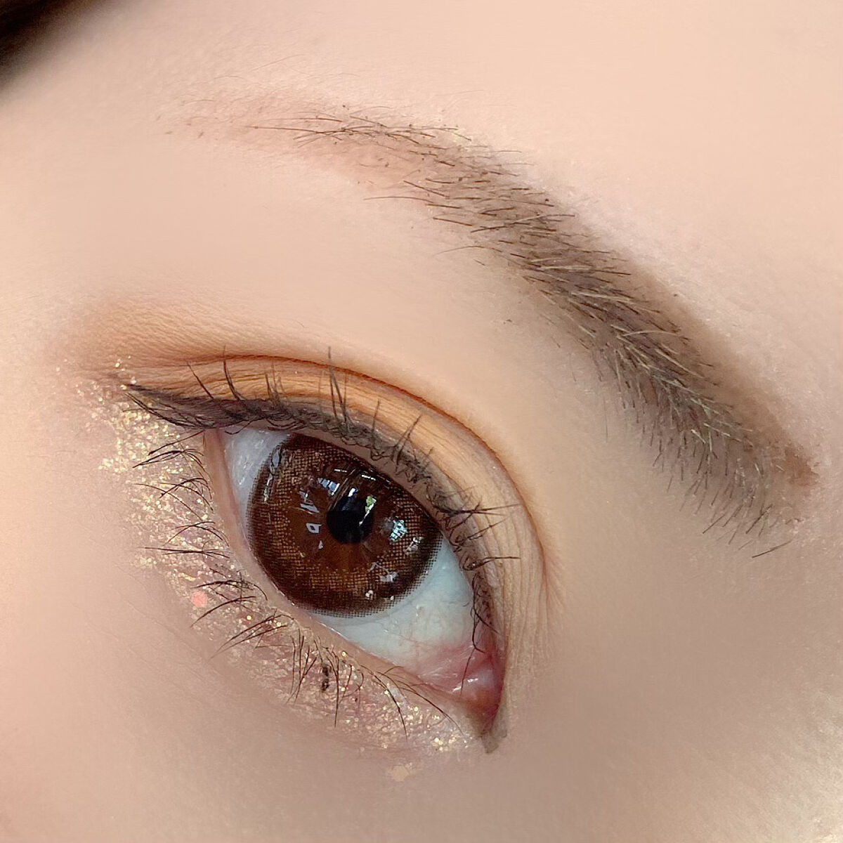 アニマルアイシャドウパレット/NOVO/アイシャドウパレットを使ったクチコミ（3枚目）