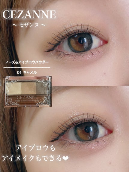 ノーズ&アイブロウパウダー/CEZANNE/パウダーアイブロウを使ったクチコミ(1枚目)