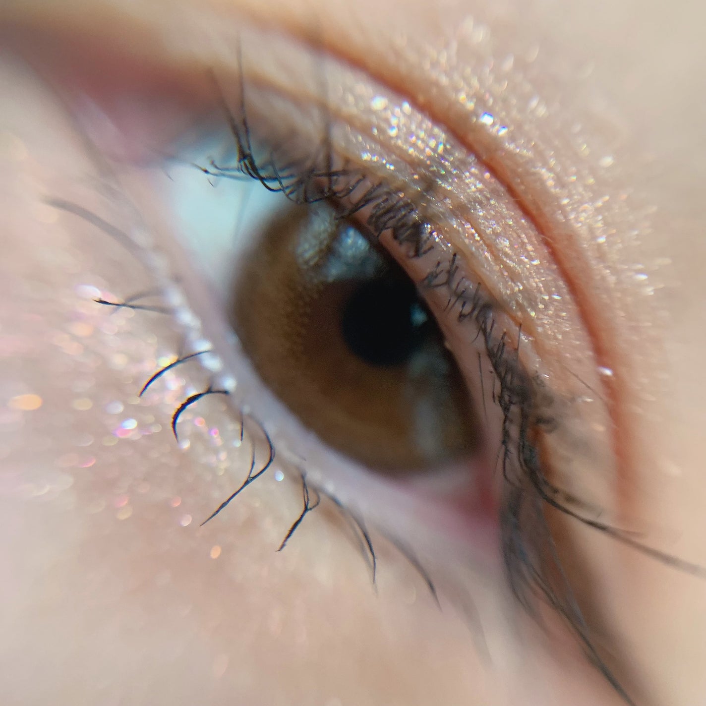 デイリズムアイパレット/heimish/アイシャドウパレットを使ったクチコミ(6枚目)