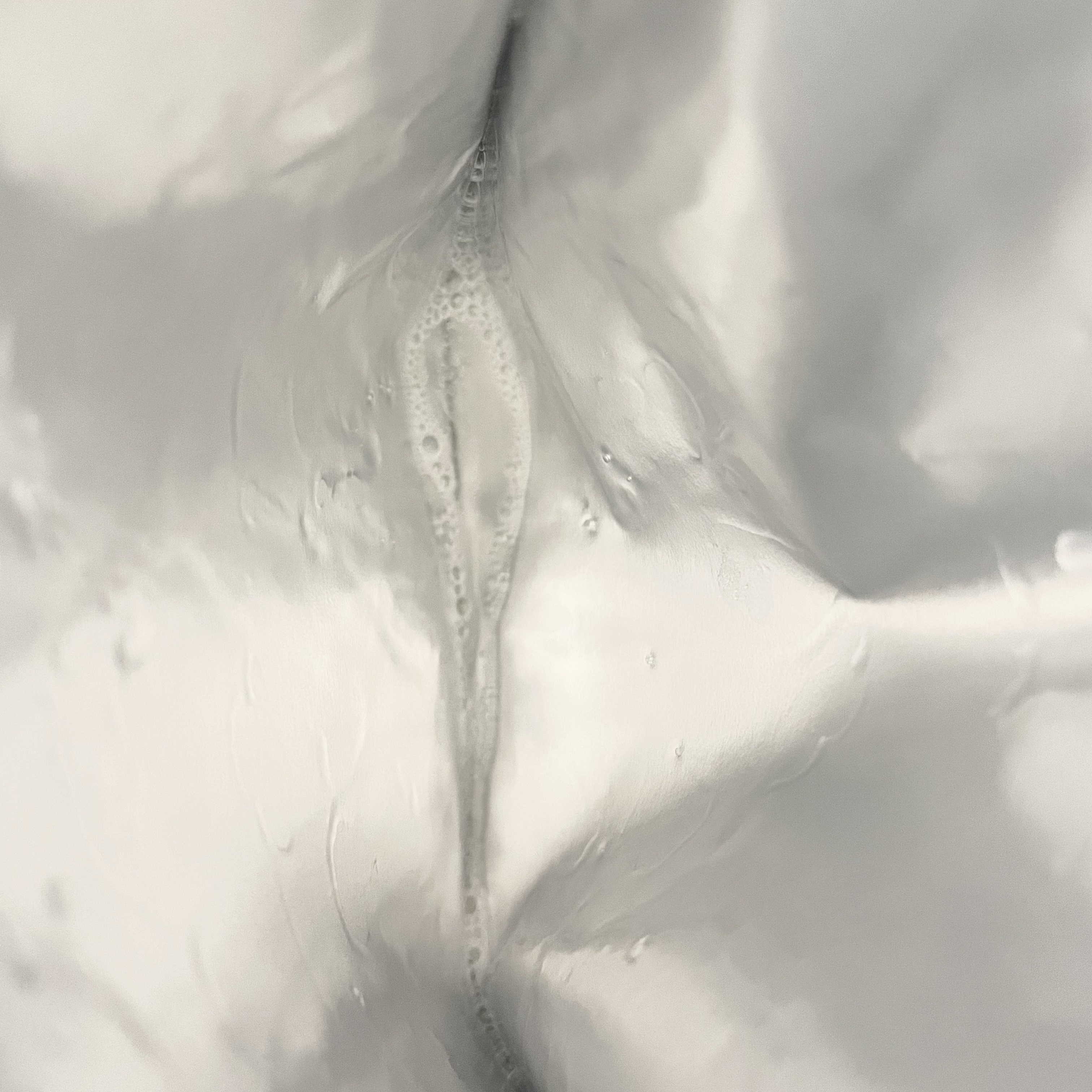 プロシカ センテラアジアチカ タイガーアンプルマスク/VT/シートマスク・パックを使ったクチコミ（3枚目）