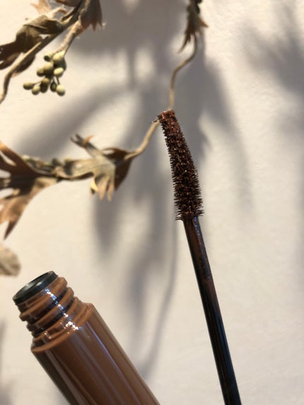 ミゼルエディ カールアップマスカラ ロング/ミゼルエディ/マスカラを使ったクチコミ(8枚目)