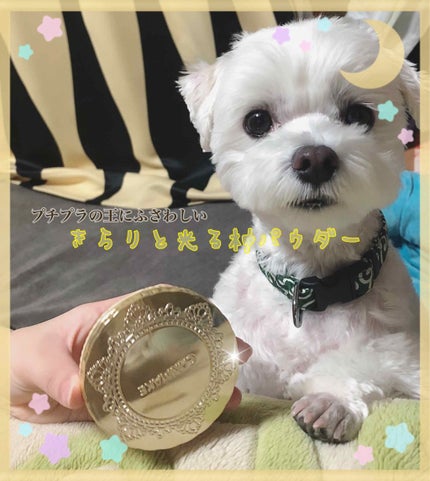 【旧品】マシュマロフィニッシュパウダー/キャンメイク/プレストパウダーを使ったクチコミ(1枚目)