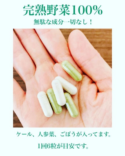 飲む粉野菜/ベジタブルテック/健康サプリメントを使ったクチコミ(3枚目)