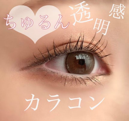 エバーカラーワンデー ナチュラル/エバーカラー/ワンデー(1DAY)カラコンを使ったクチコミ(1枚目)