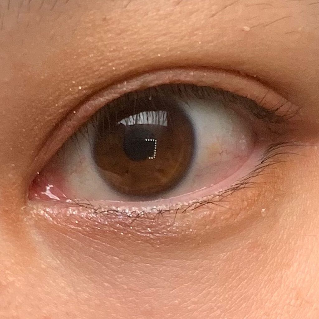 ミネラルクラッシィシャドー/エトヴォス/アイシャドウパレットを使ったクチコミ（3枚目）