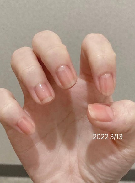 を使ったクチコミ(3枚目)