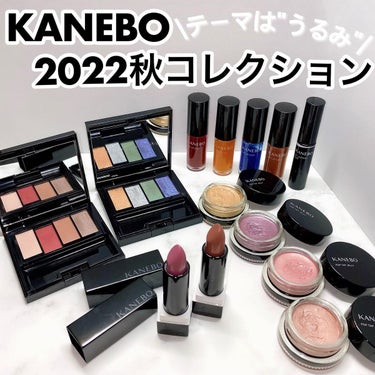 レイヤードカラーズアイシャドウ/KANEBO/アイシャドウパレットを使ったクチコミ（1枚目）