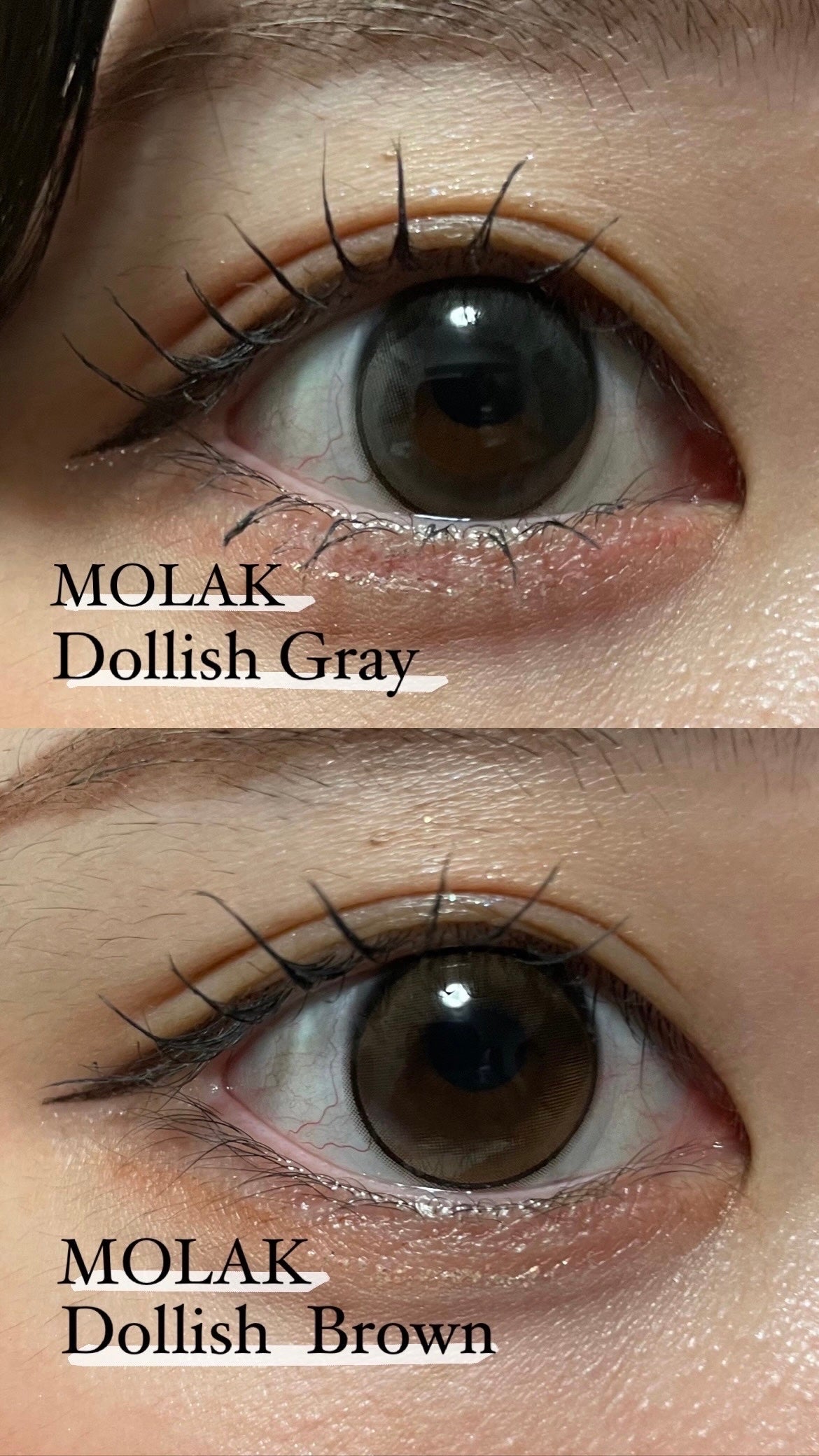 @nagi_chann on LIPS 「❤︎MOLAKDollishBrown&Grayのレポ❤︎細ふ..」(1枚目)