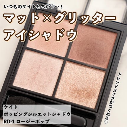 ケイト ポッピングシルエットシャドウ/KATE/アイシャドウパレットを使ったクチコミ(1枚目)