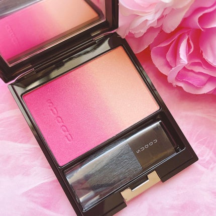 ピュア カラー ブラッシュ/SUQQU/パウダーチークを使ったクチコミ(2枚目)