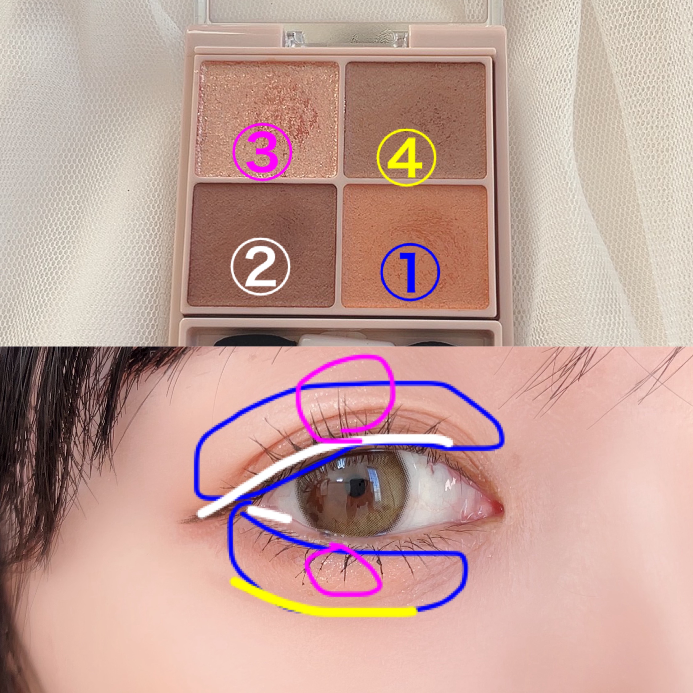 シルキースフレアイズ（マットタイプ）/キャンメイク/アイシャドウパレットを使ったクチコミ（3枚目）