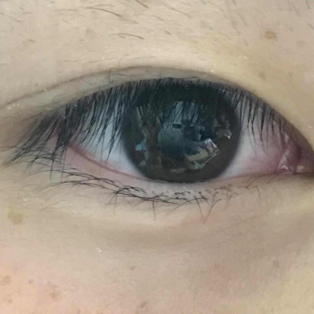 DAISO×kankore ダブルアイリッド/DAISO/二重まぶた用アイテムを使ったクチコミ(2枚目)