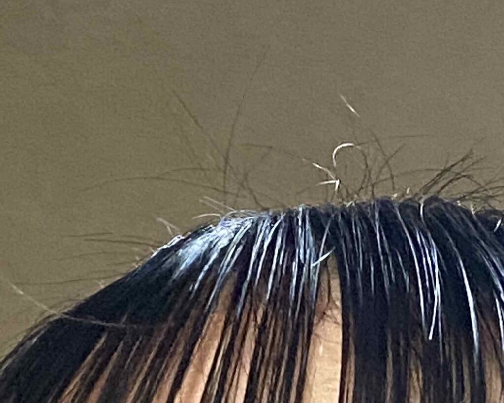 を使ったクチコミ（1枚目）