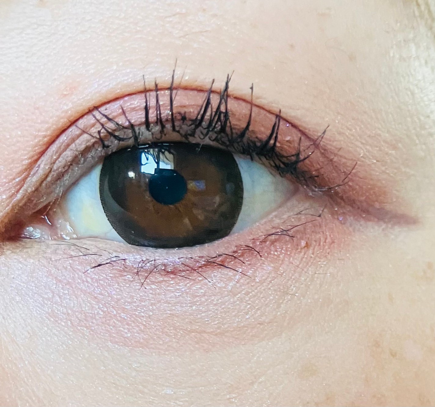 ベージュトーンアイシャドウ/CEZANNE/アイシャドウパレットを使ったクチコミ(2枚目)